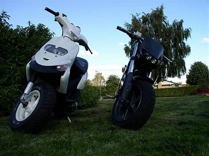 Gilera $talker  SAVNER DEN!!!!! billede 7
