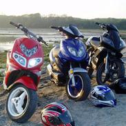 CPI GTR (LC) - SOLGT