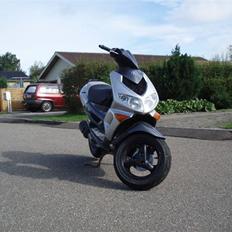 Peugeot Speedfight2 Bytte-stalker