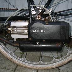 Sachs ??
