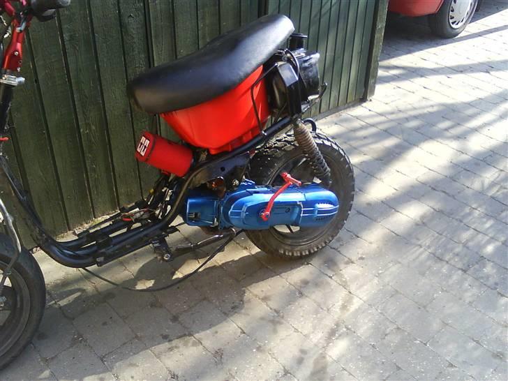 Adly silverfox billede 12