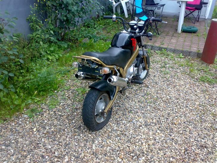 Skyteam PBR (SOLGT) billede 8