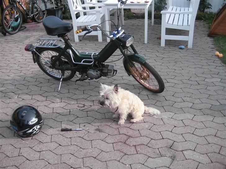 Puch maxi k billede 8