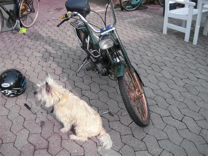 Puch maxi k billede 10