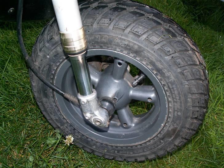 Aprilia Rally billede 11