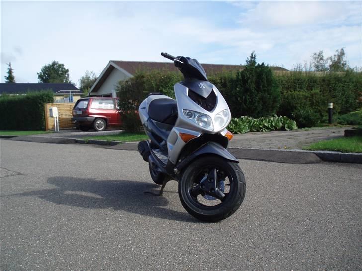 Peugeot Speedfight2 Bytte-stalker billede 1