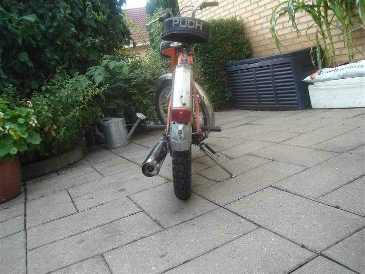 Puch Maxi [FØR] billede 8