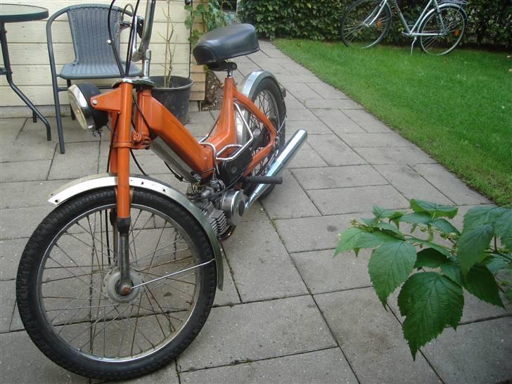 Puch Maxi [FØR] billede 10