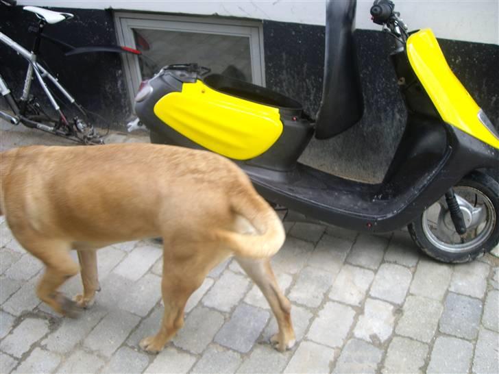 Yamaha jog Space  billede 5