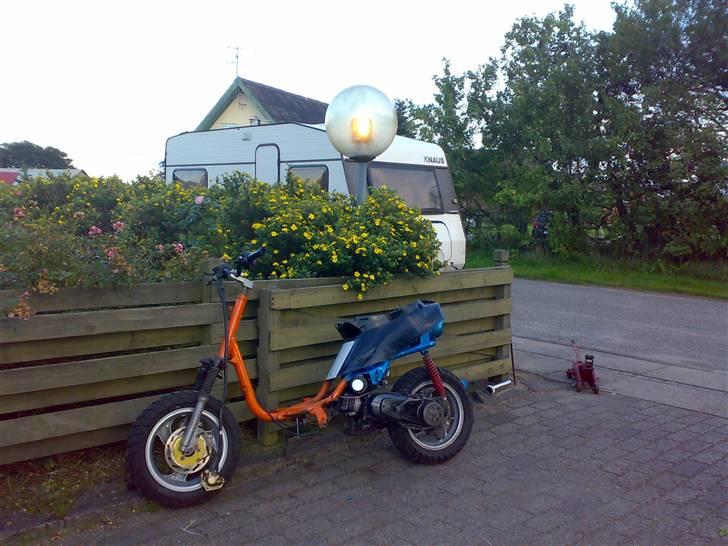 Adly /cpi  (gadekrydset) solgt billede 3