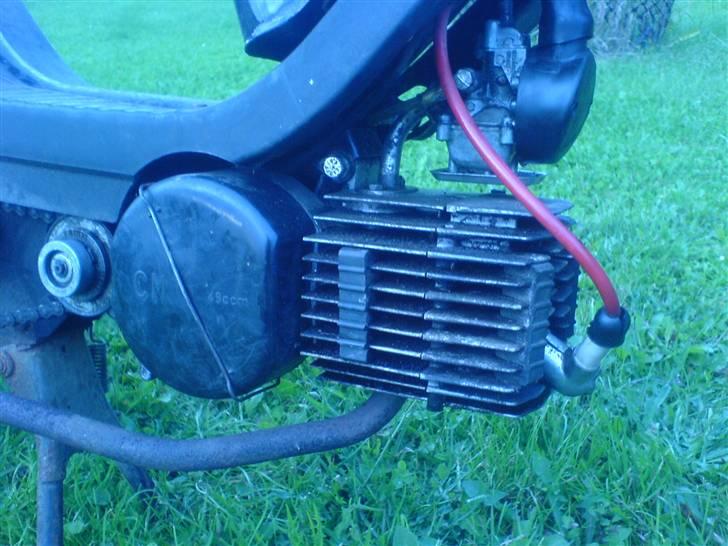 Veteraner jawa (solgt) billede 4