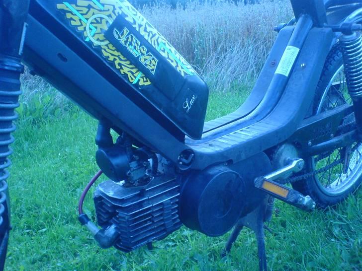 Veteraner jawa (solgt) billede 6