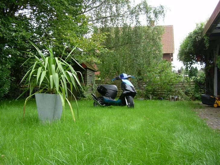 Aprilia Sonic GP ac - Byttet :( billede 2