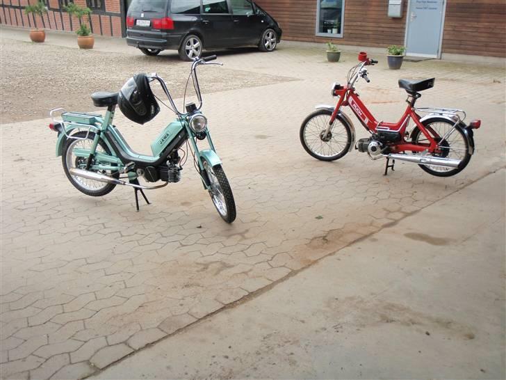 Puch Maxi - Pussy magnet billede 12