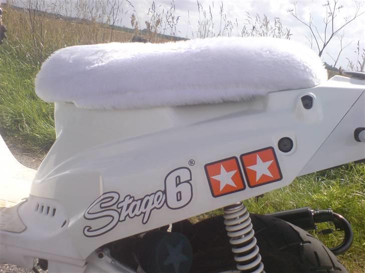 PGO Hot 50 ( solgt ) billede 8