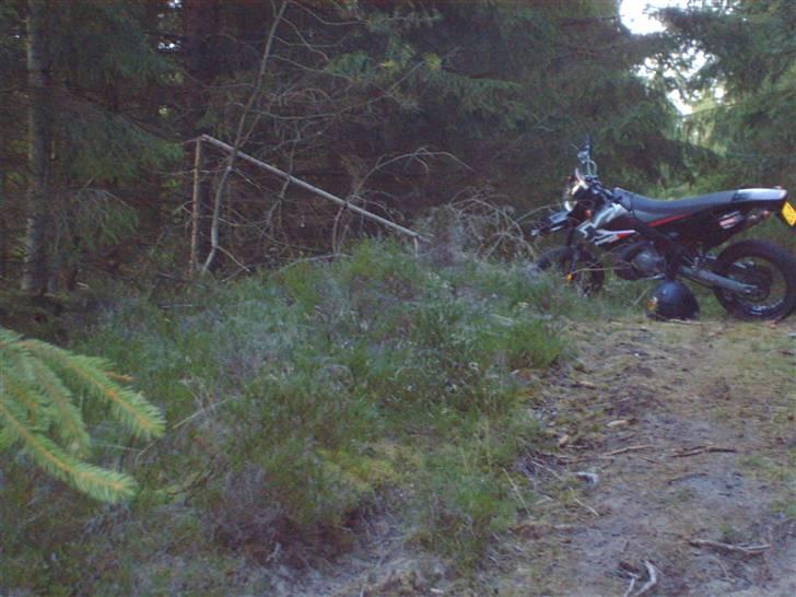 Derbi Senda Extreme Sm Solgt - Min Senda I Skoven:) billede 2