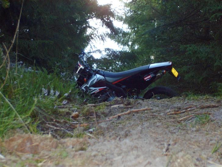 Derbi Senda Extreme Sm Solgt - Min Senda I Skoven:) billede 3