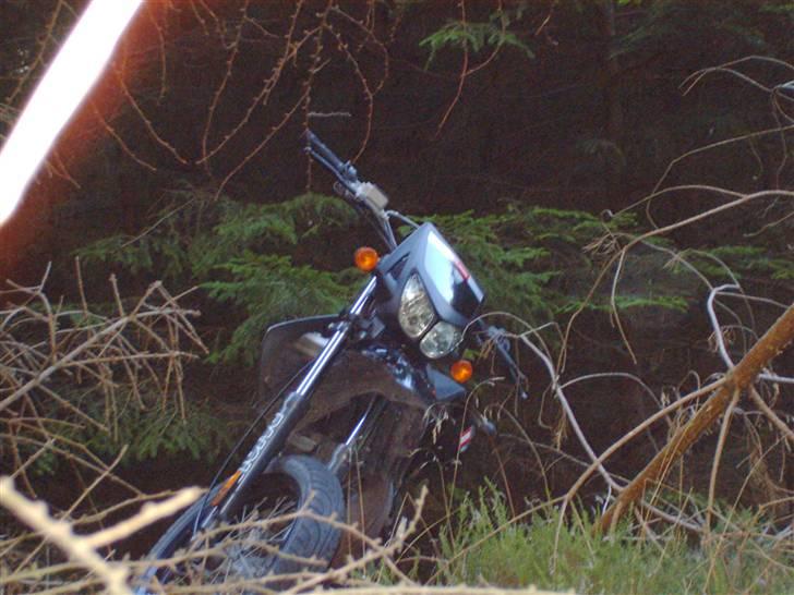 Derbi Senda Extreme Sm Solgt - Min Senda I Skoven:) billede 4