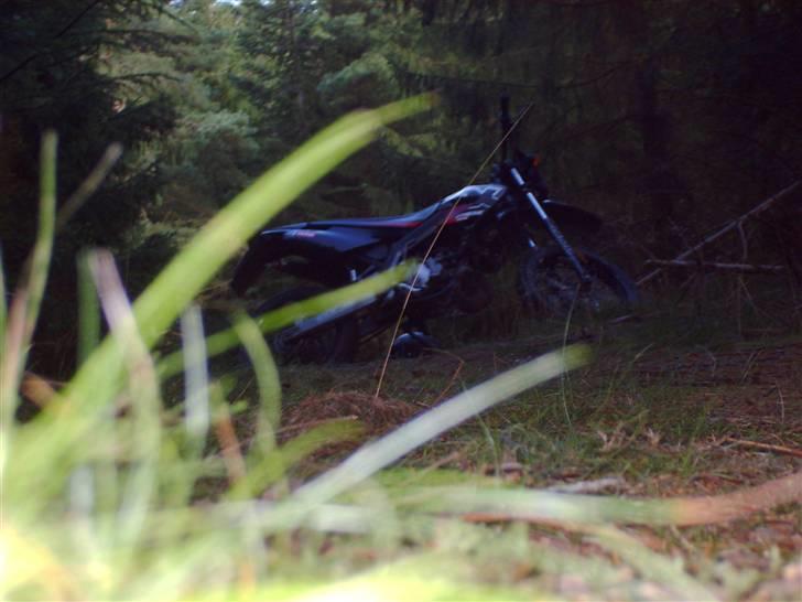 Derbi Senda Extreme Sm Solgt - Min Senda I Skoven:) billede 5