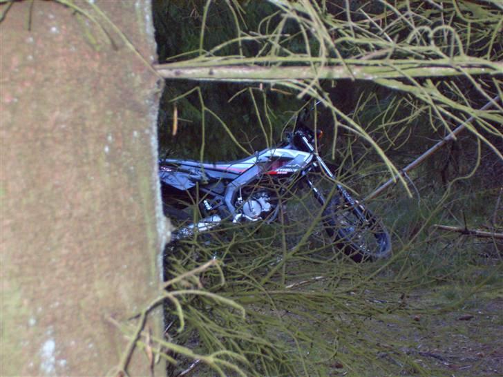 Derbi Senda Extreme Sm Solgt - Min Senda I Skoven:) billede 6