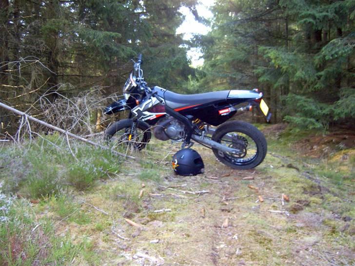 Derbi Senda Extreme Sm Solgt - Min Senda I Skoven:) billede 8