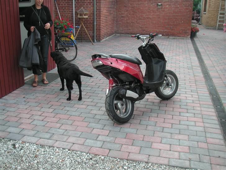 PGO hot . stage6 billede 6