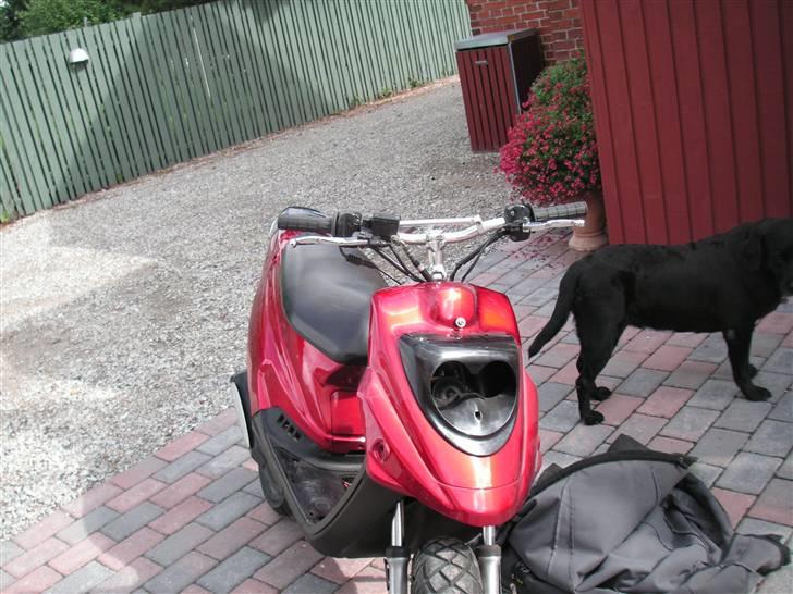 PGO hot . stage6 billede 7