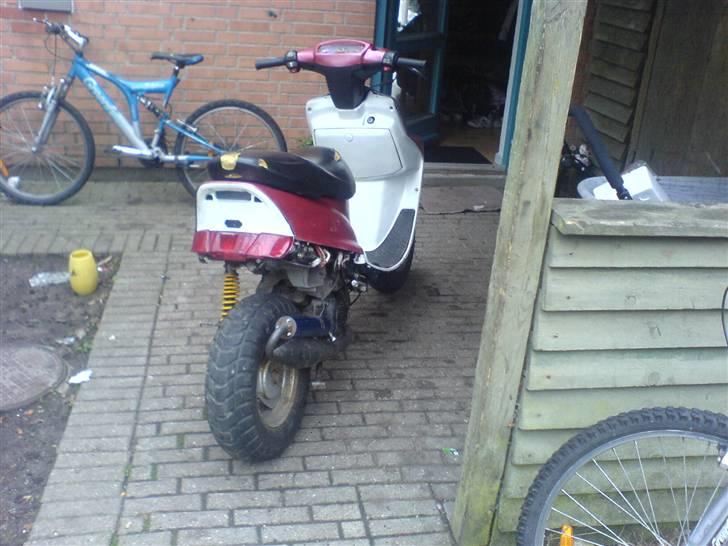 Adly Falcon Solgt! billede 3