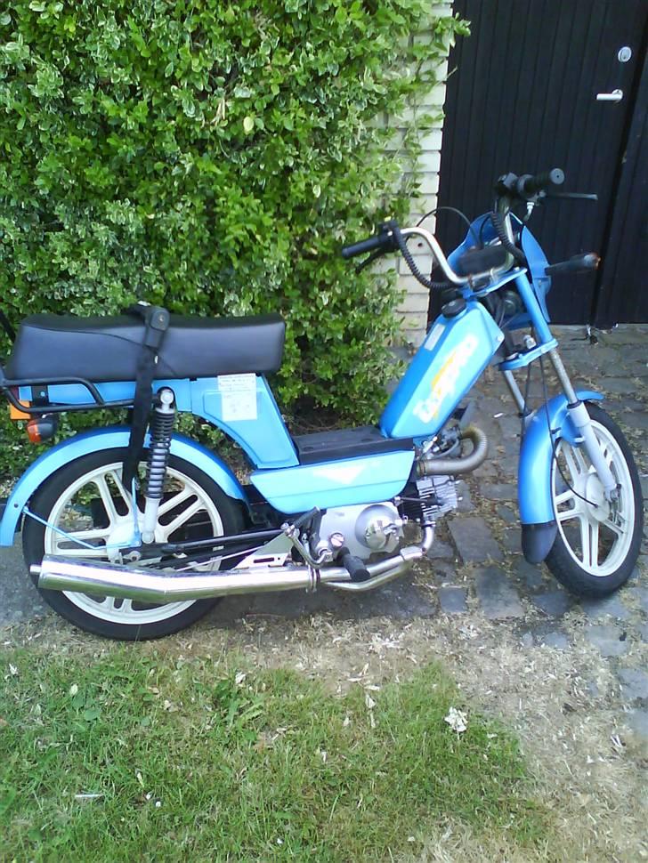 Gizmo hero billede 2