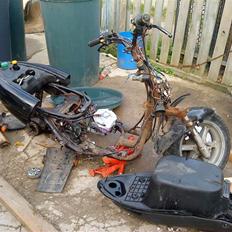 Benelli 491 AC ~SOLGT~