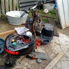 Benelli 491 AC ~SOLGT~