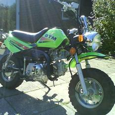 Baotian monkey SOLGT