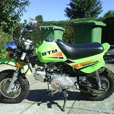 Baotian monkey SOLGT