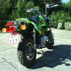 Baotian monkey SOLGT