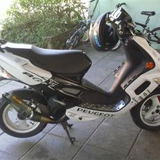 Peugeot speedfight 2 R-cup