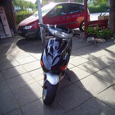 Adly Silverfox solgt