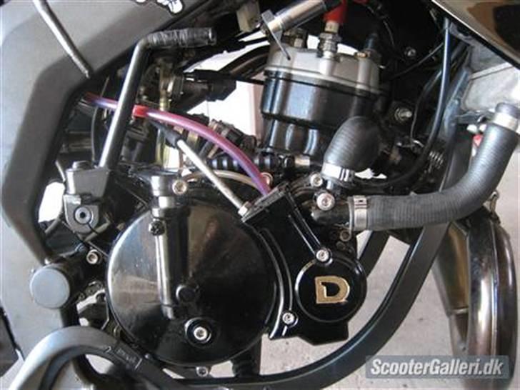 Derbi Senda SM X-treme [KONFI.] billede 5
