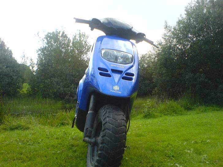 Piaggio typhoon [solgt] billede 8