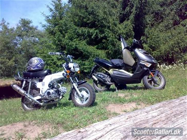 Aprilia sr50 Ditech byttet billede 14