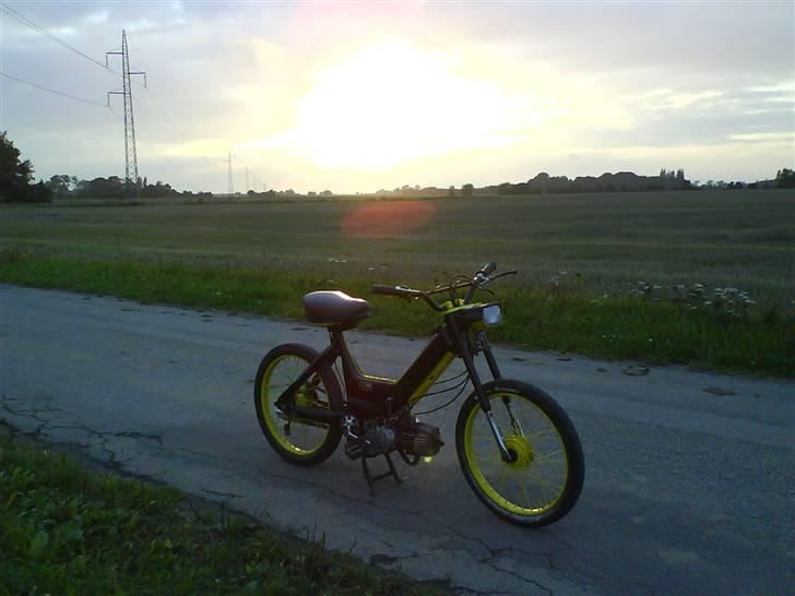 Puch Maxi P billede 19