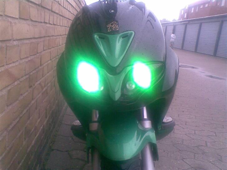 CPI hussar   billede 6