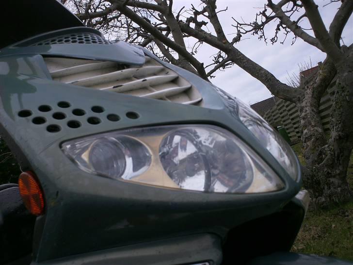 Peugeot Speedfight 2 TIL SALG !!! - Min kiesler EVO røvplade XD billede 5