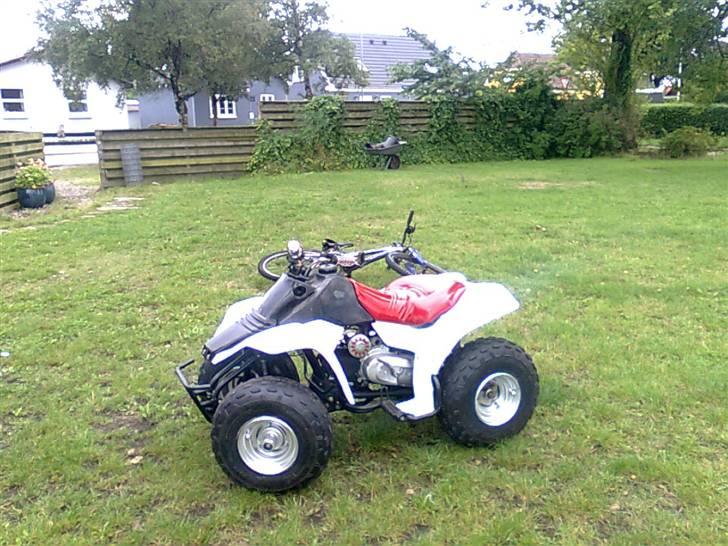 Kazuma Kazuma (Jog) ^Sofie^ billede 2