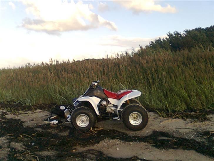 Kazuma Kazuma (Jog) ^Sofie^ billede 7