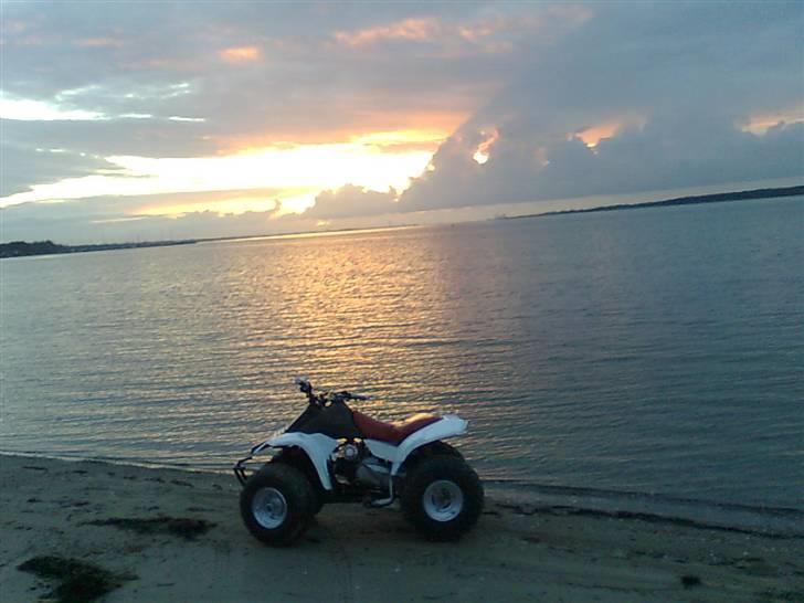 Kazuma Kazuma (Jog) ^Sofie^ billede 8