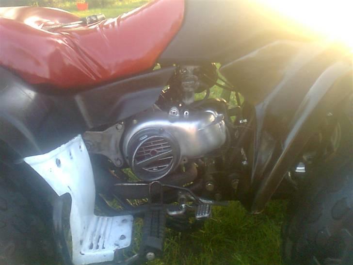 Kazuma Kazuma (Jog) ^Sofie^ billede 12