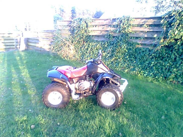 Kazuma Kazuma (Jog) ^Sofie^ billede 13