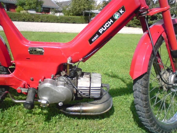 Puch Maxi k billede 10
