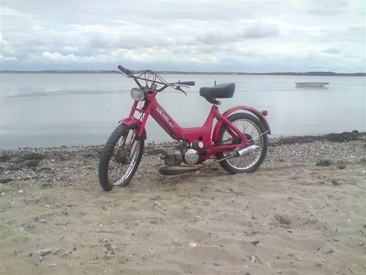 Puch Maxi k billede 18