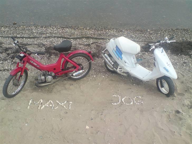 Puch Maxi k billede 20